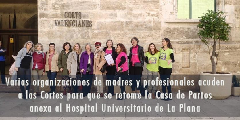 Varias organizaciones de madres y profesionales acuden a las Cortes para que se retome la Casa de Partos anexa al Hospital Universitario de La Plana